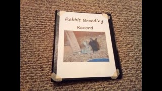 My Rabbit Breeding RecordsHow I Keep Track of My Rabbit Litters [upl. by Barabbas]