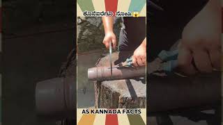 Worlds Sharpest Solid Knife  kannada facts karnataka amazing youtubeshorts trendingshorts [upl. by Ansley35]