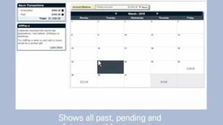 Online Bill Pay  Payment Calendar [upl. by Eiramanig]