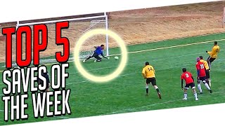 TOP 5  Best Goalkeeper Saves I WEEK 35 2015 [upl. by Stimson231]