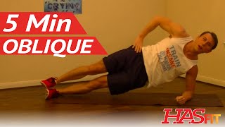 5 Minute Oblique Workout  Loose Love Handles Workouts  HASfit Love Handles Exercises for Obliques [upl. by Hoo432]