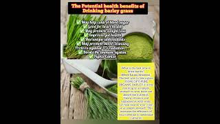 ONE OPTI PURE ORGANIC BARLEY What are the benefits of eating barley grass barleybenifits barley [upl. by Abie]