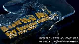 RF2015  09 MAXWELL Render Integration [upl. by Callista814]