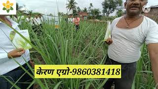 KARYON ORGANIC ऊस नवीन व्हरायटी18121 ORYCANE RESULTSATISH MALI 9860381418 [upl. by Adriel265]