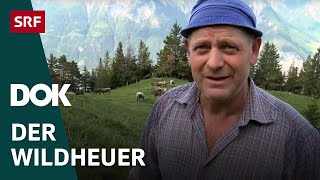 Bergbauer Sepp Gisler – Das Leben des Wildheuers am Oberaxen  Doku  SRF Dok [upl. by Helve]