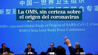 ¿Cómo surgió el coronavirus las 3 teorías de la OMS que no pudieron aclarar en su viaje a Wuhan [upl. by Macswan]