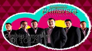 Conjunto Primavera Cumbias Inmortales DJ TOEZ [upl. by Akimahc]