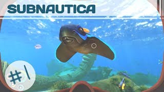 Subnautica  Full Release  Ep 1 [upl. by Nnaoj]