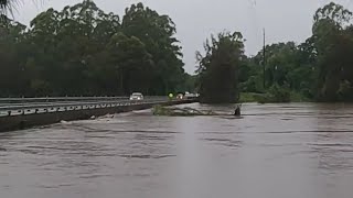 Watch How FAST North Richmond Bridge Starts To GO UNDER WARNING SPIDERS [upl. by Annovy]