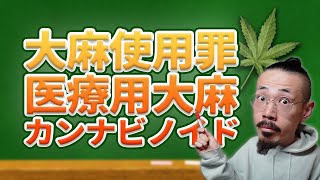 【大麻法改正】CBDも使えない！？今話題の大麻をわかりやすく解説！ [upl. by Kcirde]