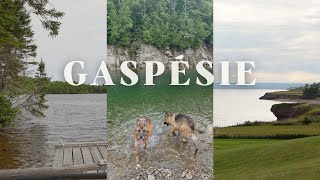 gaspésie chronicles [upl. by Beekman]