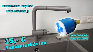 HILFE Wasserhahn TROPFT  So habe ich 200€ gespart   TUTORIAL  BLANCO  Küchenamatur [upl. by Ayyn]