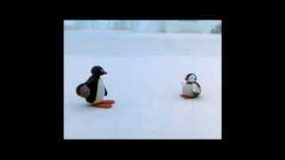 Pingu Cannot Lose Clip  Pingu Official Channel [upl. by Laekim]