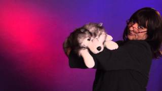 Folkmanis® Timber Wolf Puppet Demo [upl. by Tolley]