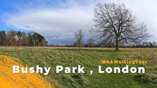 Bushy Park Sunny Day London 4K  Walking video [upl. by Noiro]