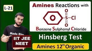 L21 Hinberg Reagent  Amines Reaction with Arylsulphonyl Chloride  Test of Amines  JEE NEET [upl. by Mungo]