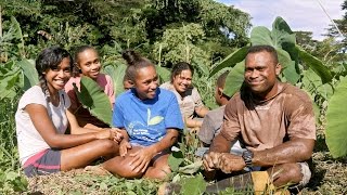 The Naqaqa Family Farm Fiji [upl. by Annayi300]