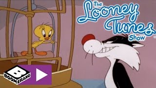 Sylvester amp Tweety  Misafirlik  Boomerang [upl. by Dominga]