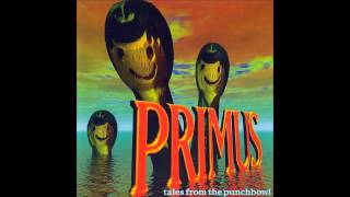 Wynonas Big Brown Beaver Primus Cover  My Singing Monsters Composer [upl. by Kain75]