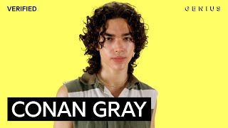 Conan Gray “People Watching” Official Lyrics amp Meaning  Verified [upl. by Erehc]