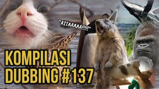 BARUAK TAMVAN  KOMPILASI DUBBING 137 [upl. by Narhet61]