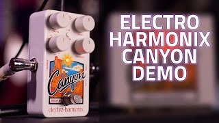 Electro Harmonix Canyon Delay and Looper Pedal Demo [upl. by Brittani]