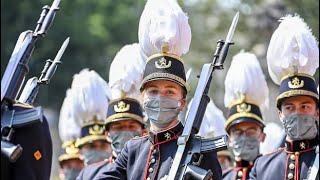 Queen Mathilde Is Proud To See Princess Elizabeth In The Military Parade At National Day Of Belgium [upl. by Orlene420]