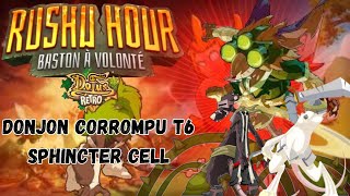 DONJON CORROMPU T6  SPHINCTER CELL dofus rétro temporis 3 [upl. by Cindelyn265]