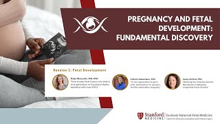 2023 Dunlevie MFM Center Symposium  Session 1 Fetal Development [upl. by Kcirted]