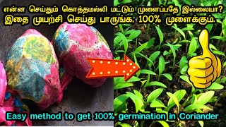 100 கொத்தமல்லியை முளைக்க வைக்க இப்படி செய்து பாருங்க  How to get 100 germination in Coriander [upl. by Adnale]