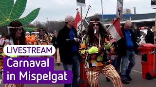 Carnavalsoptocht in Zaltbommel Mispelgat 2024  Omroep Gelderland [upl. by Phira]