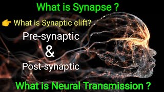 Synapse amp Neural TransmissionSynaptic cleft Presynaptic and Postsynaptic membrane Spot Psychology [upl. by Hadnama]