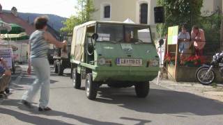 50 Jahre Haflinger Parade Schönberg Teil 2 [upl. by Cohin]