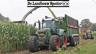 Mais hakselen 2019  Vragender  Claas Jaguar 860  XXL transport  Fendt 828  714  Deutz Fahr [upl. by Yoko]