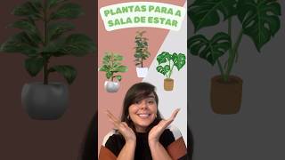 Plantas para sua sala de estar designdeinteriores plantasdecasa saladecorada [upl. by Diaz]