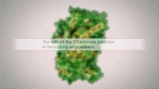 The Role of the C1Esterase Inhibitor in HAE [upl. by Nwahshar]