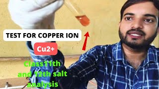 Test for copper Cu2 ion salt analysis for cation class12thpractical a2zpractical991 [upl. by Eboj]