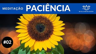 Paciência  MEDITAÇÃO 02 [upl. by Trixy871]