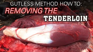 The Gutless Method Removing the Tenderloin How To [upl. by Nnayllas]