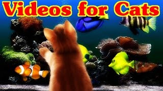 Videos for Cats to Watch  FISH video for Cats [upl. by Akym]