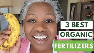 3 Best DIY Organic Fertilizers [upl. by Sumer]