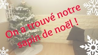 On a trouvé notre sapin de noël  Vlogmas 1 [upl. by Aina]