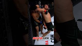 Muay Thai elbow blow 🥊 muaythai mma punch [upl. by Maxine]