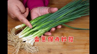 香葱保存原来这么简单！20年卖菜阿姨教我方法，一年买一次够了 [upl. by Eberly]