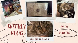 VLOG 12 PART 1 BEAUCOUP DE MINETTE 💛 DE BALADE DE JEUX ET DE LECTURE [upl. by Moe]