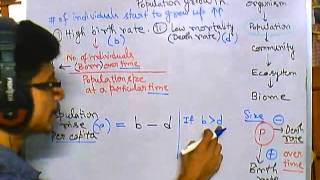 Population ecology part 1 population growth and growth rate [upl. by Ximena]