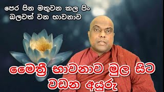 මෛත්‍රී භාවනාව වඩන අයුරු මුල සිට ඉතා සරලව අග්‍ර පිං වැඩෙන භාවනාව  Galigamuwe Gnanadeepa Thero [upl. by Sherwood386]