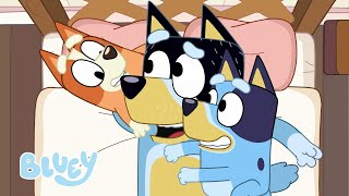 Bluey ve Bingo ile oyunlar  Bluey Türkçe Resmi Kanal [upl. by Aehcim]