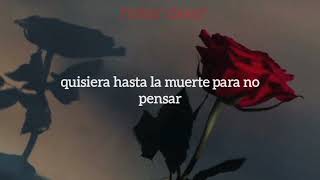 Mon Laferte  Tú falta de querer letra [upl. by Imtiaz228]