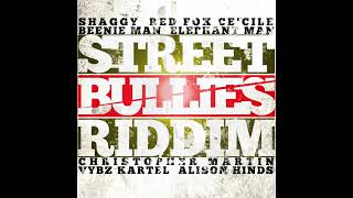 Street Bullies Riddim [upl. by Ava]